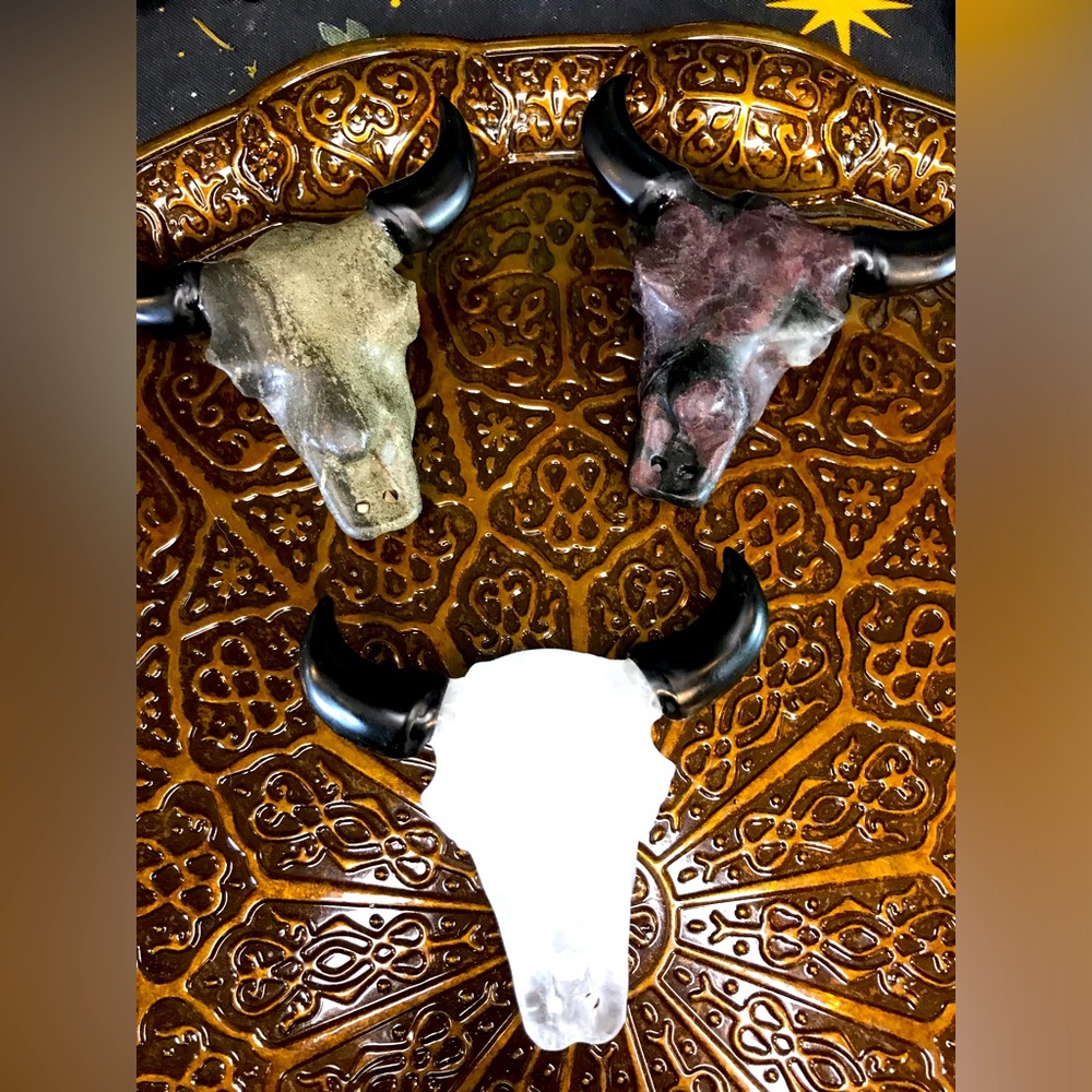 Bull skull (1)